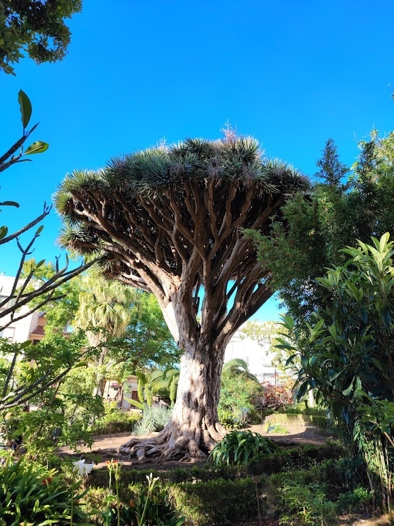 Hijuela del Botanico