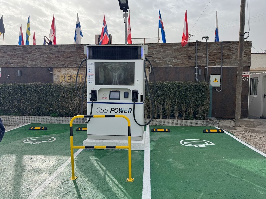 Punto de carga GSS POWER — Del propietario