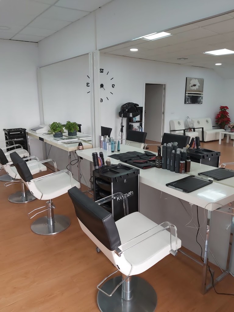 Oli Peluqueria y Estetica Avanzada — Interior