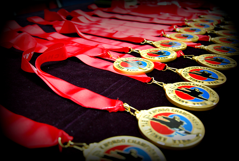  World Martial Arts Academy