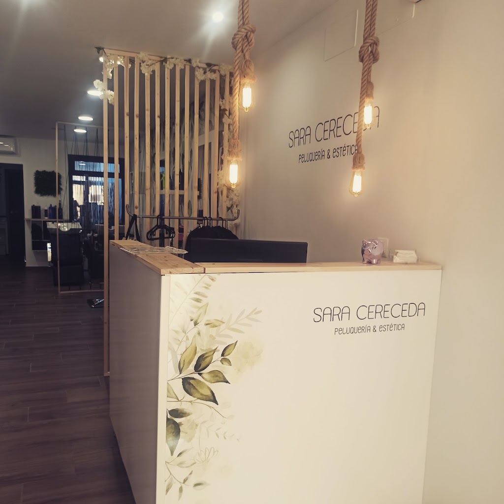 peluqueria y estetica Sara Cereceda — Interior