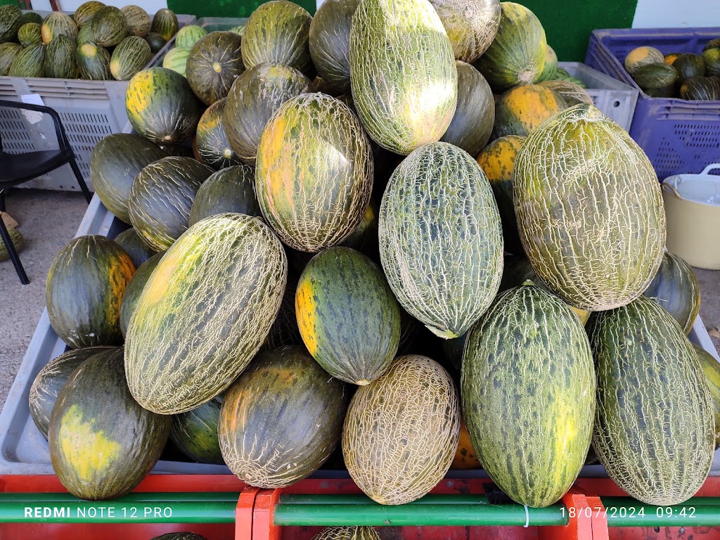 Venta sandia y melones de castilla la mancha — Cucumis melo