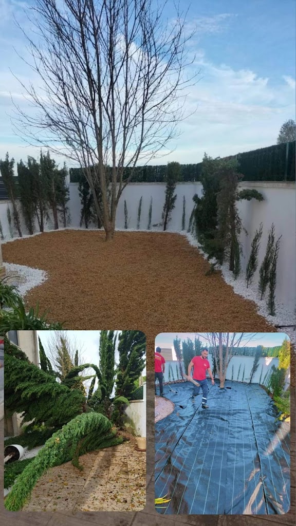 Desatascos MULTISUR 24H