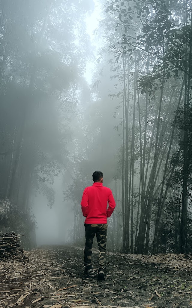 Dan's camping Spot 1