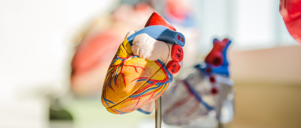Dr. Healthy Heart Specialist Centre