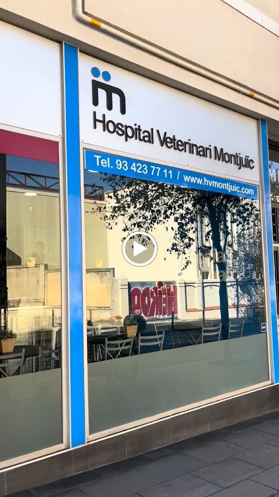 Hospital Veterinario Montjuic — Del propietario