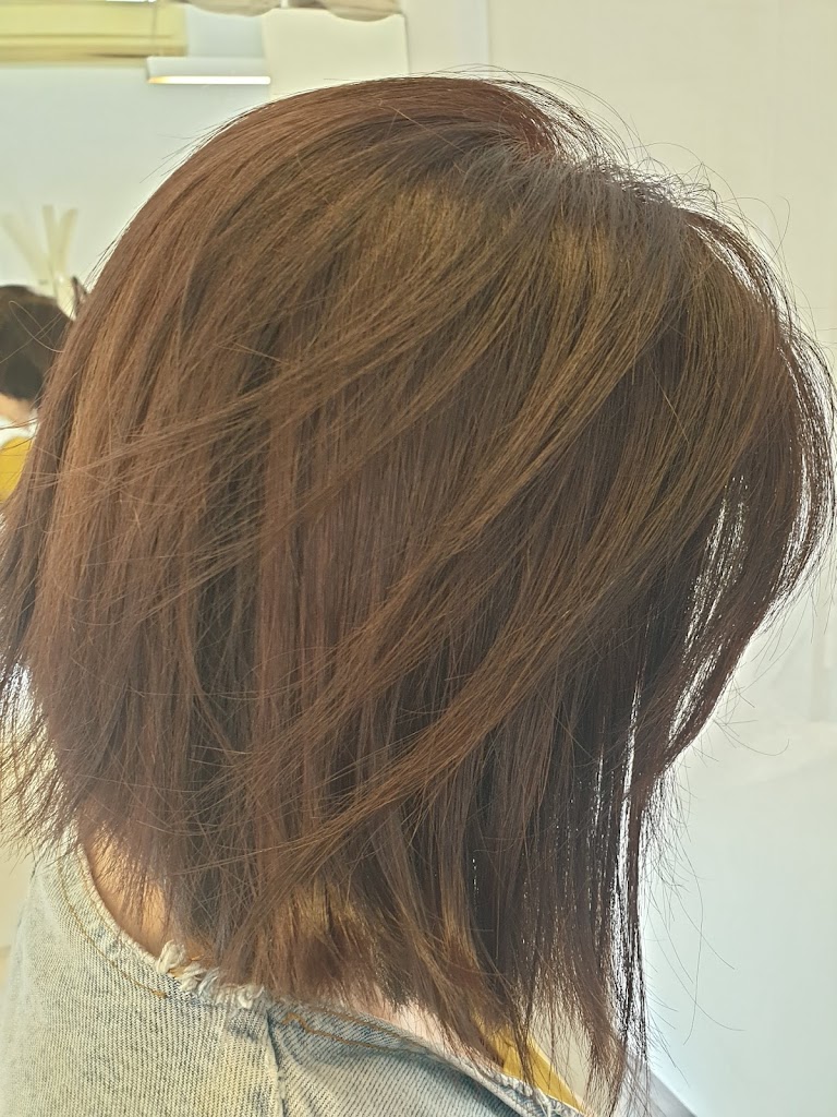 Perruqueria Long And Short