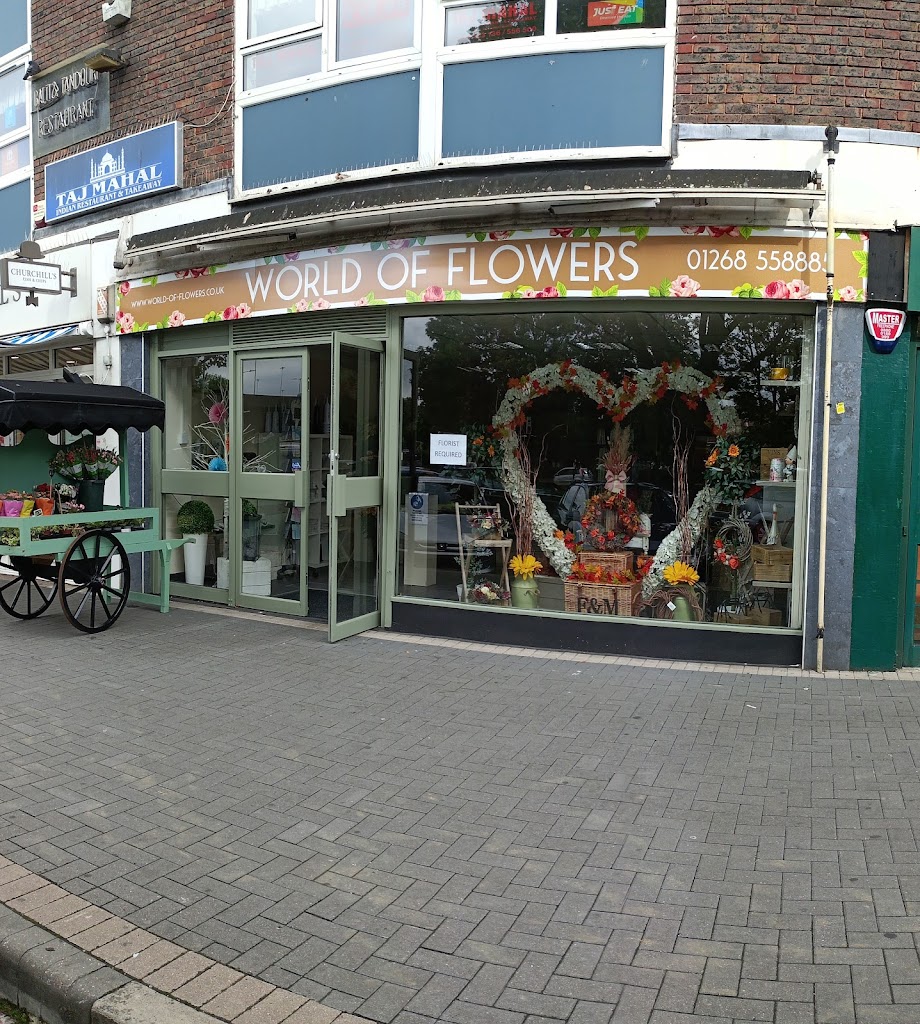 World Of Flowers