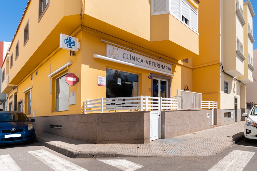 Clinica Veterinaria Happy Pet — Del propietario