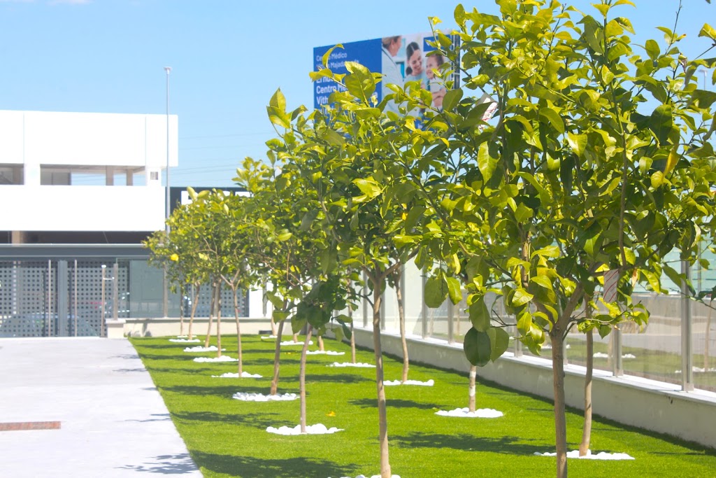 Residencia de Ancianos Vitalia Majadahonda | VITALIA HOME — Mas recientes