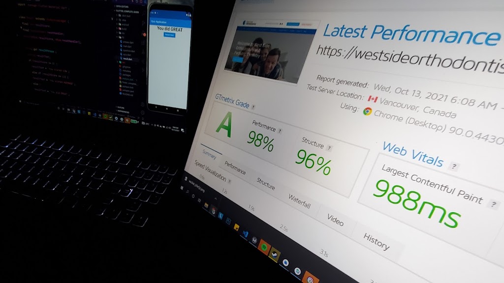 Professional Website Developer