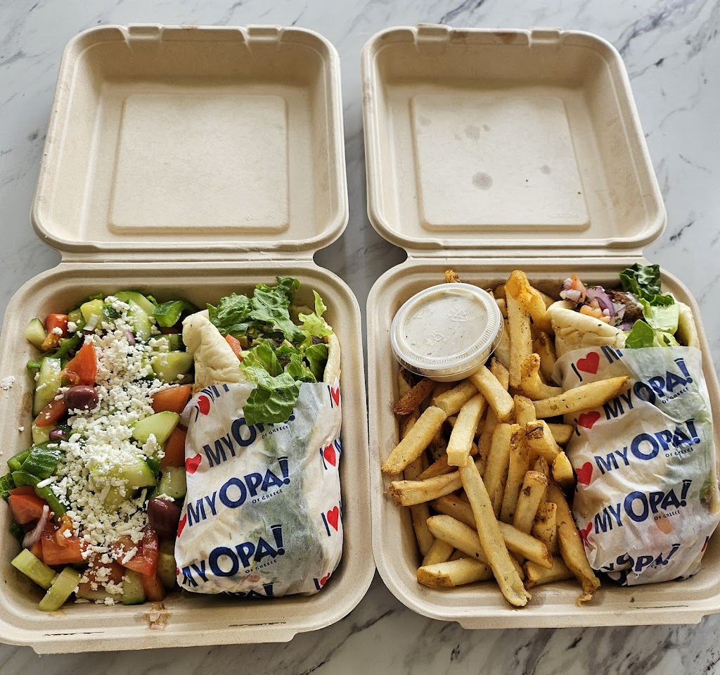 French fries
