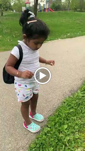 Videos