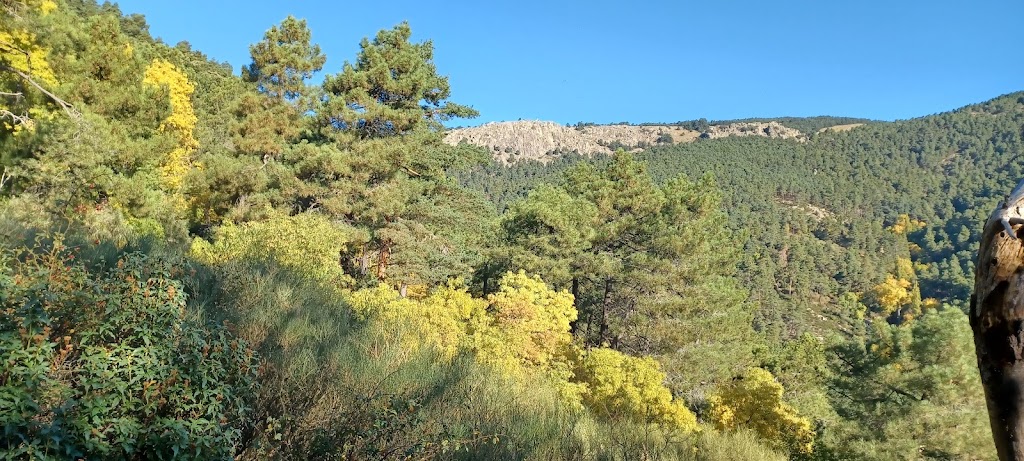 Senda tesoros de abantos