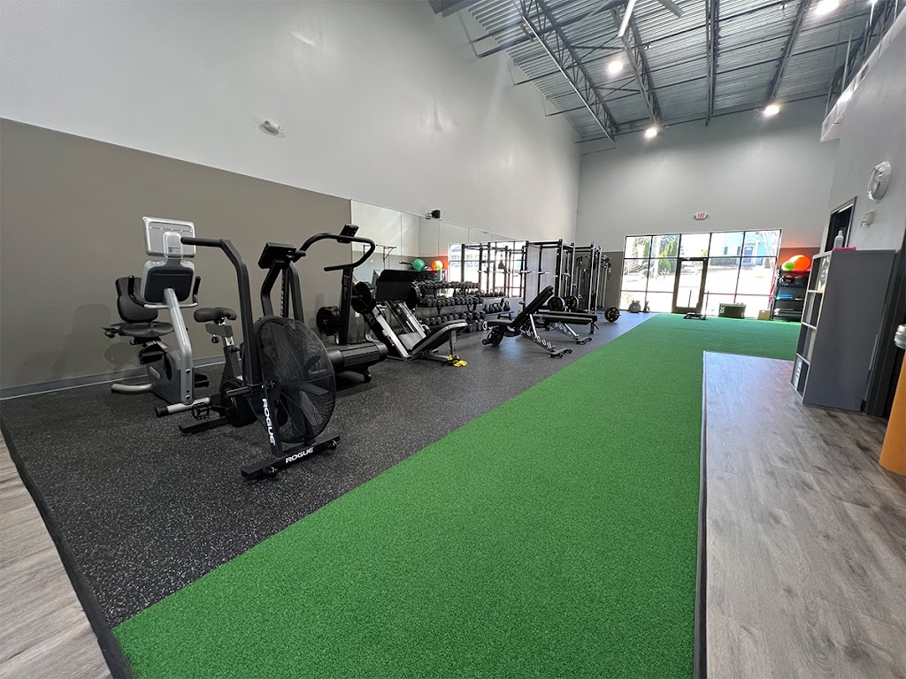  Momentum Performance