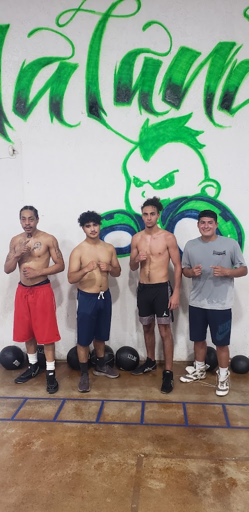  Malandrin Boxing