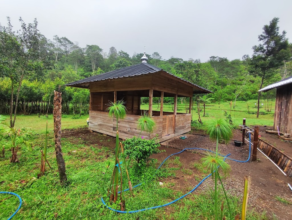 Forest Hills Kutanangka