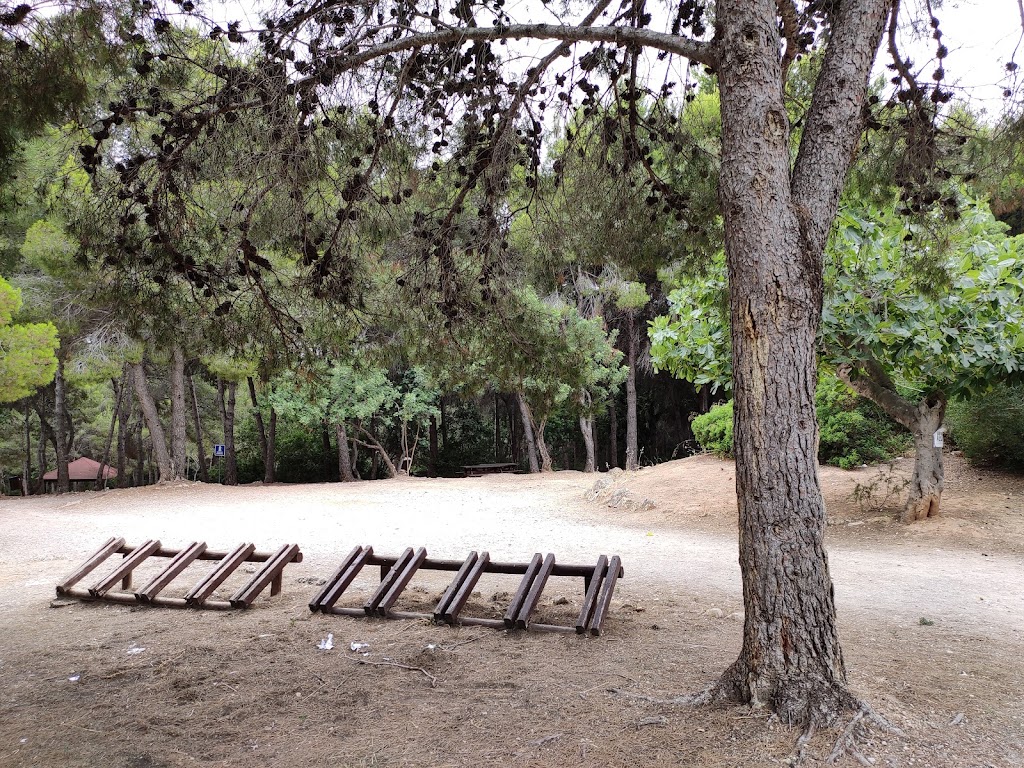 La Canyada del Conill