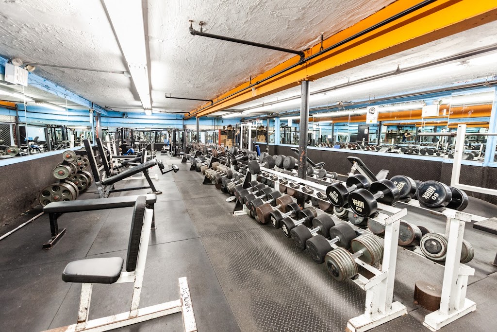  Powerhouse Gym Bayside