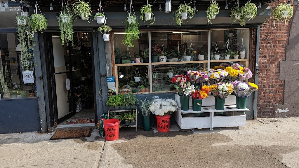 Magnolias Floristry