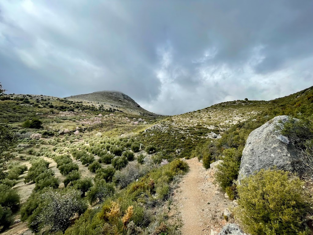 Vereda al Torreon del Lucero