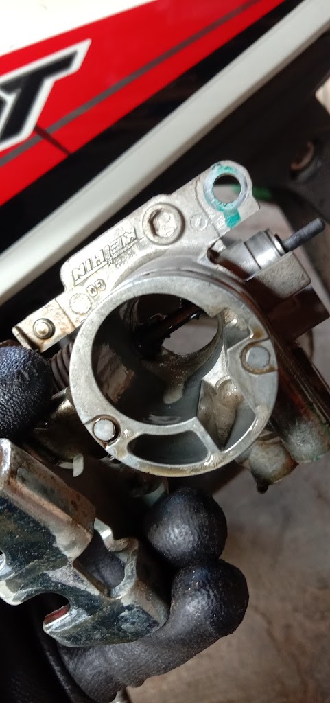 FELIX MOTOR