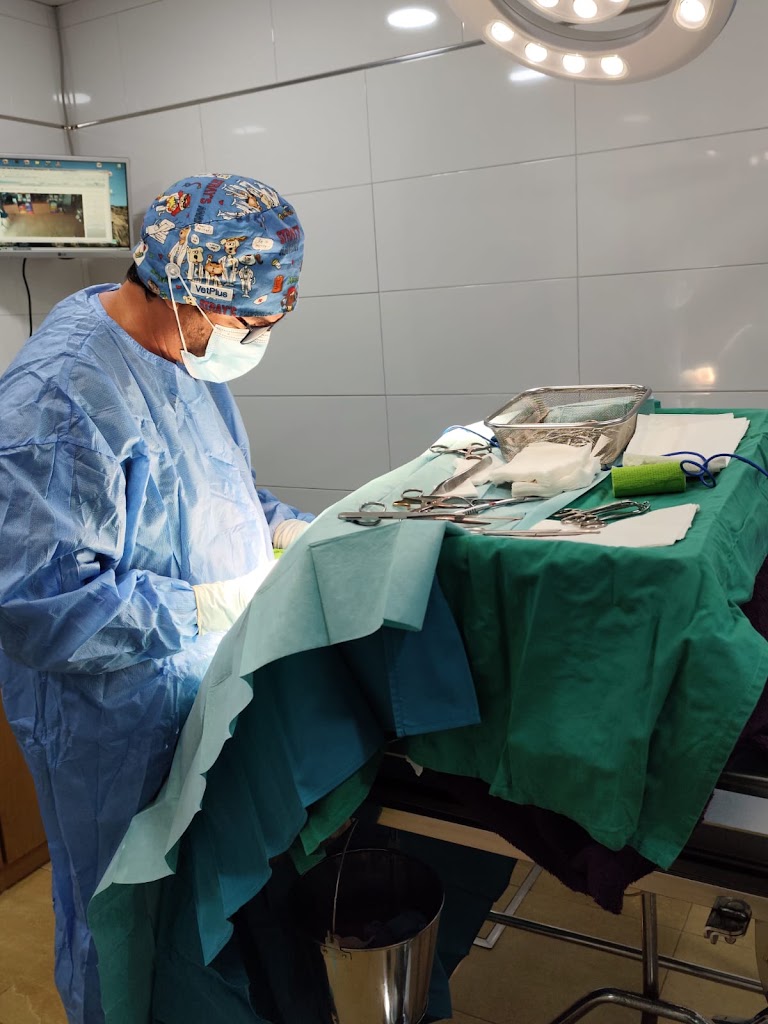 Centro Veterinario Llandes — Del propietario