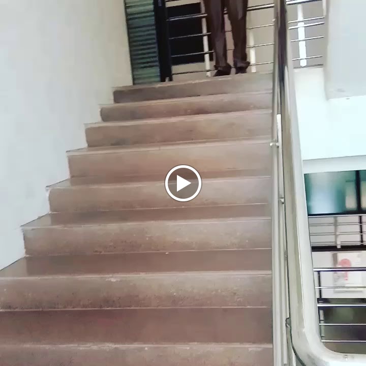 Videos
