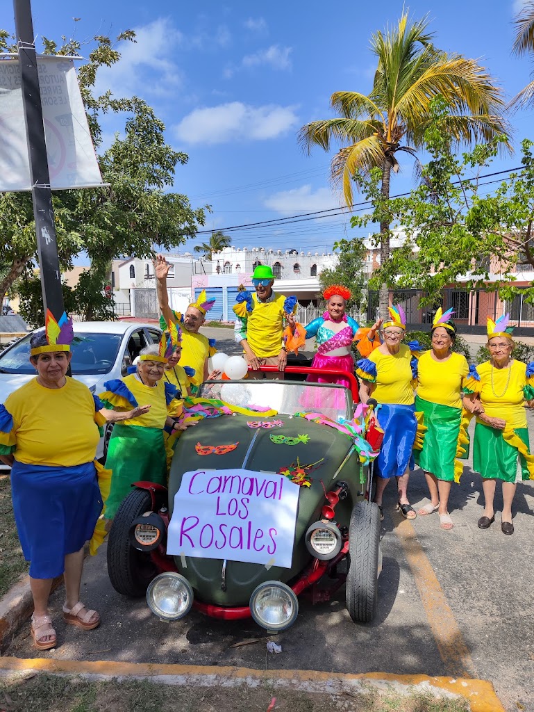 Residencia y Centro de Dia para Adultos Mayores Los Rosales