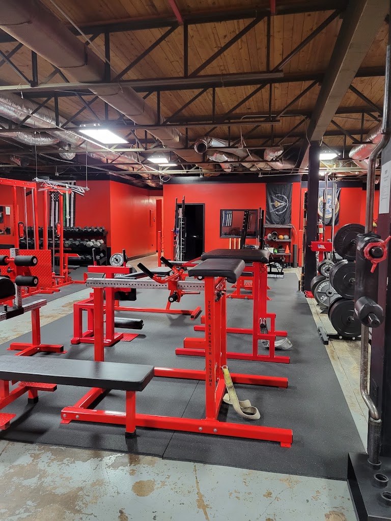  Rijk's Strength and Performance