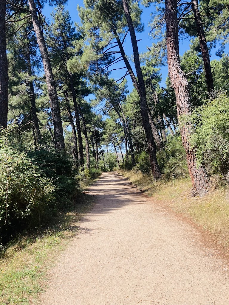 Senda del Camino Horizontal
