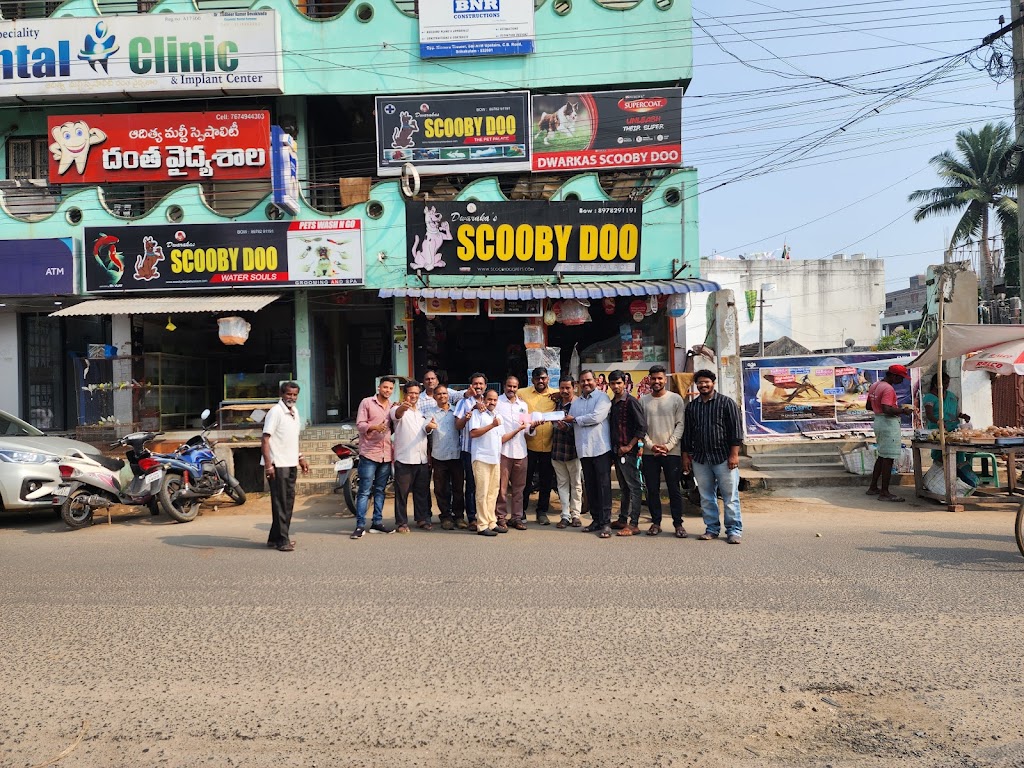 Dwarakas Scooby Doo