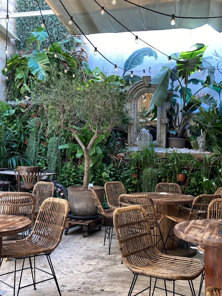 Nola — Ambiente