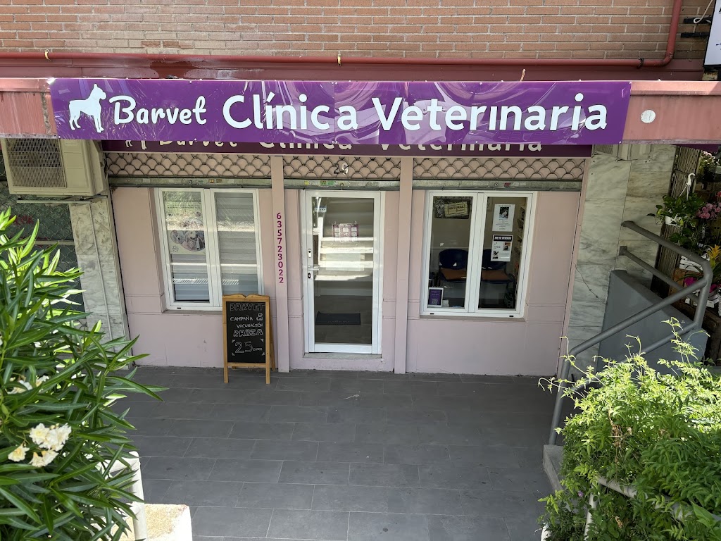 Barvet - Veterinaria Integrativa (Las Rozas y a domicilio)