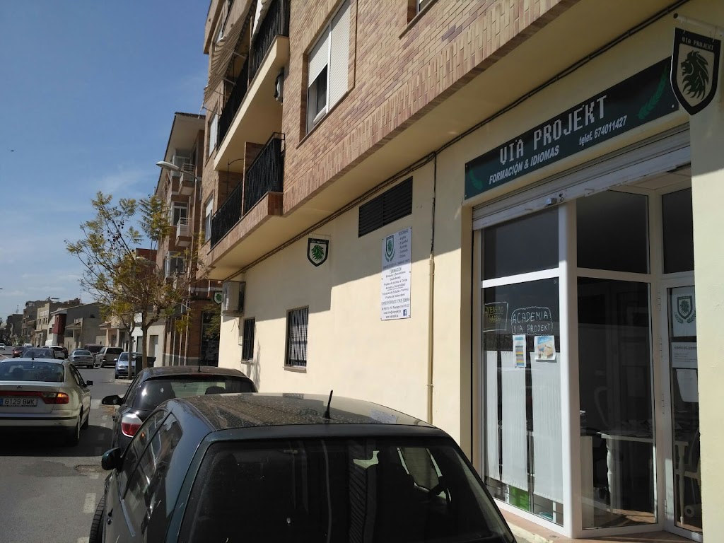 Academia Via Projekt