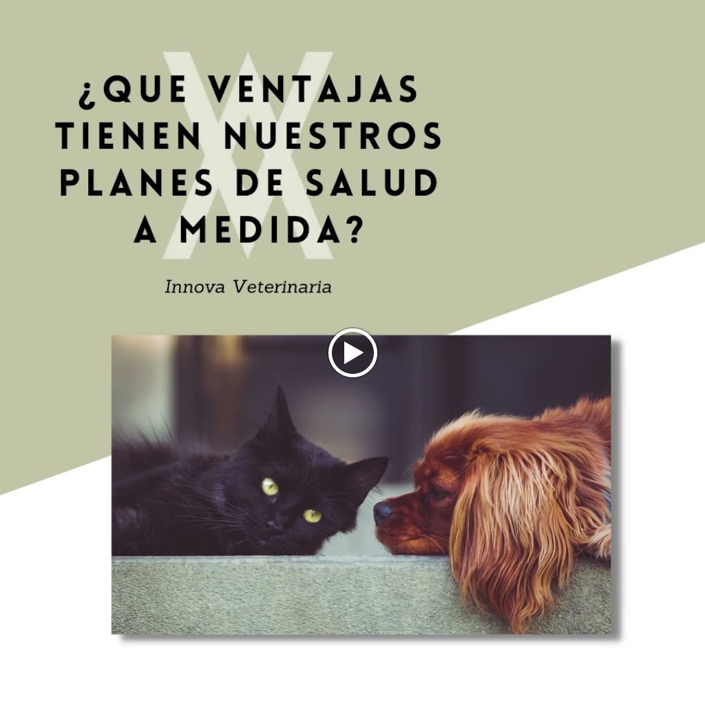Clinica Veterinaria Innova Veterinaria — Del propietario