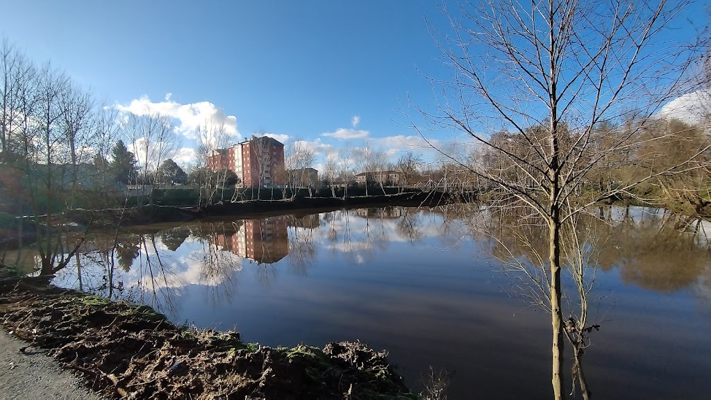 Area recreativa de Cobas