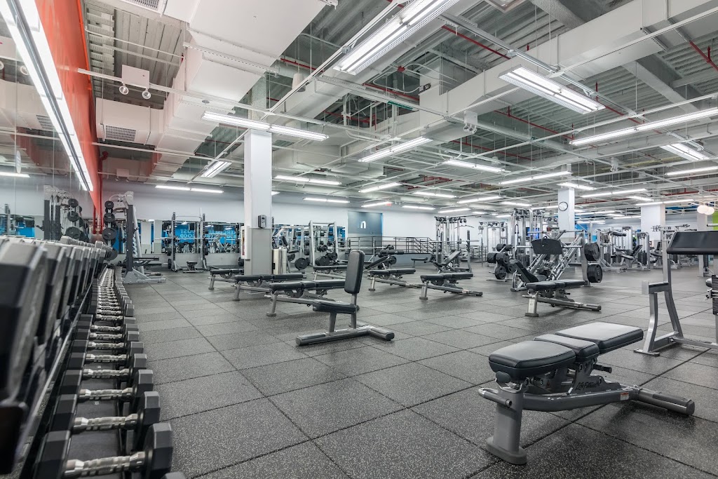  Blink Fitness (PureGym)