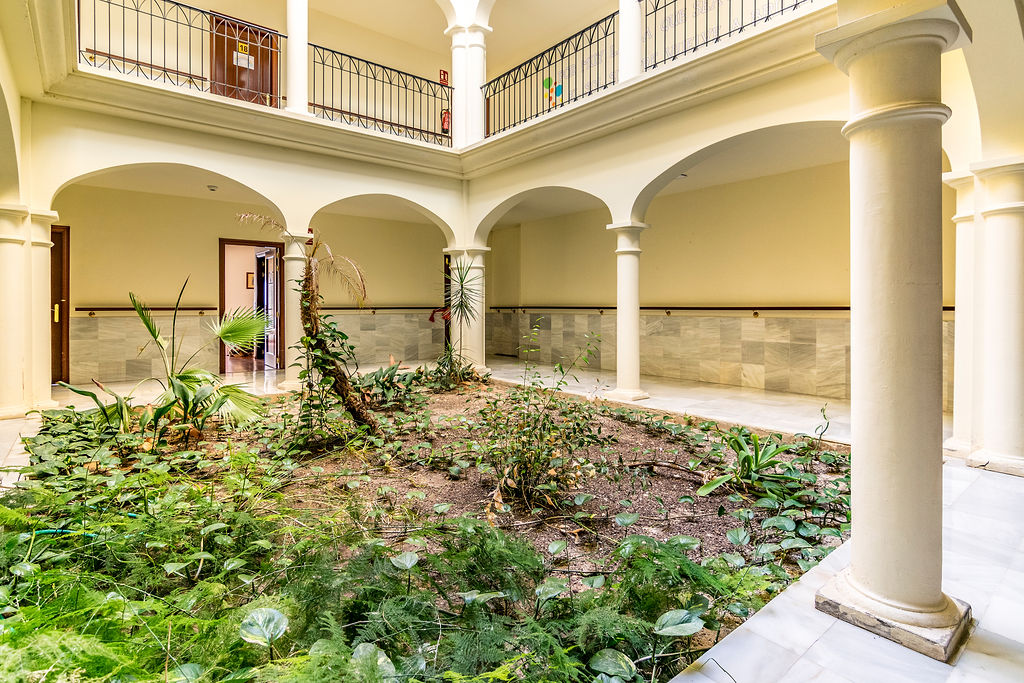 Seniors Torre del Mar | Residencia para mayores y Centro de Dia Torre del Mar Malaga