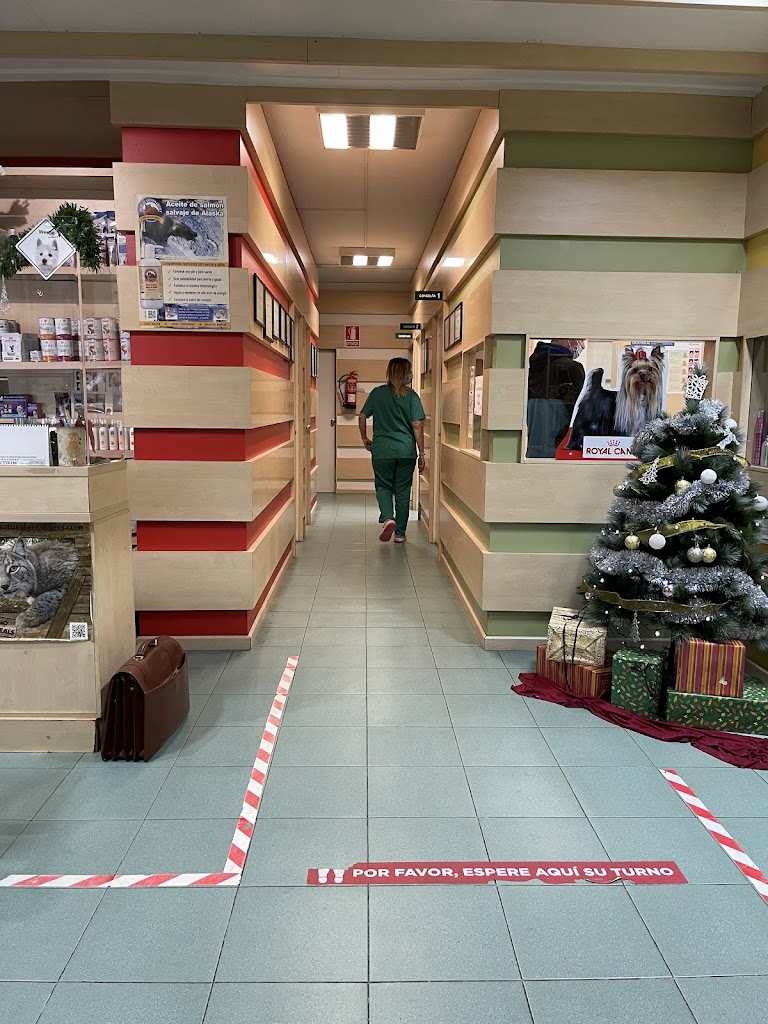 Clinica Veterinaria Real SL — Del propietario