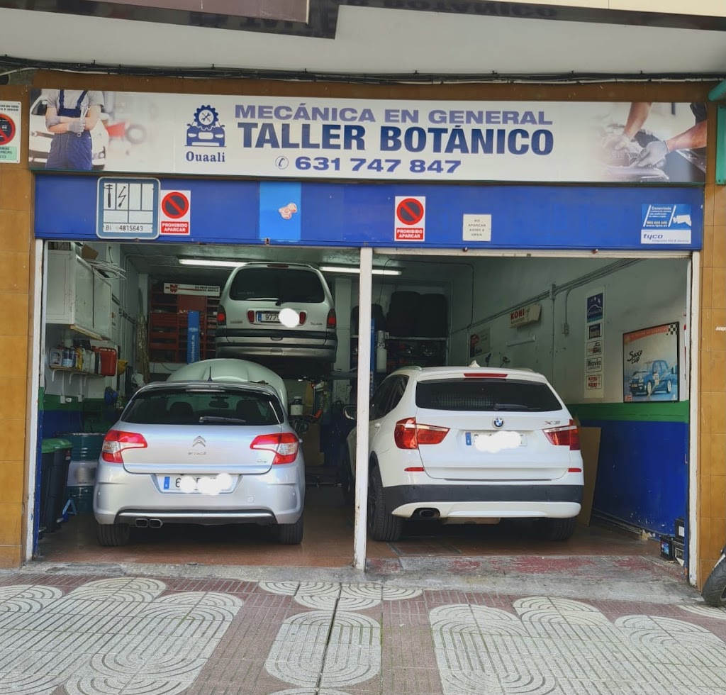 Taller botanico