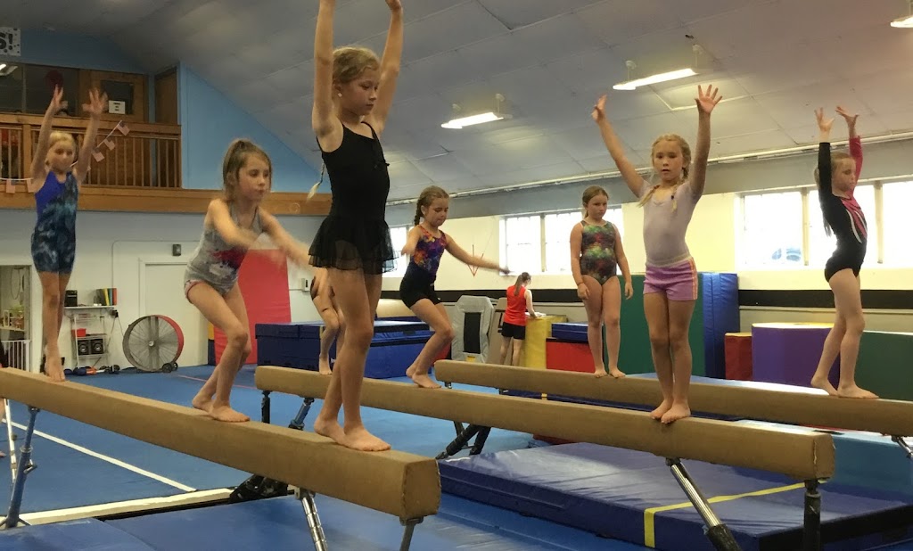 Olympia Gymnastics - Festus & Dance Fever Studio