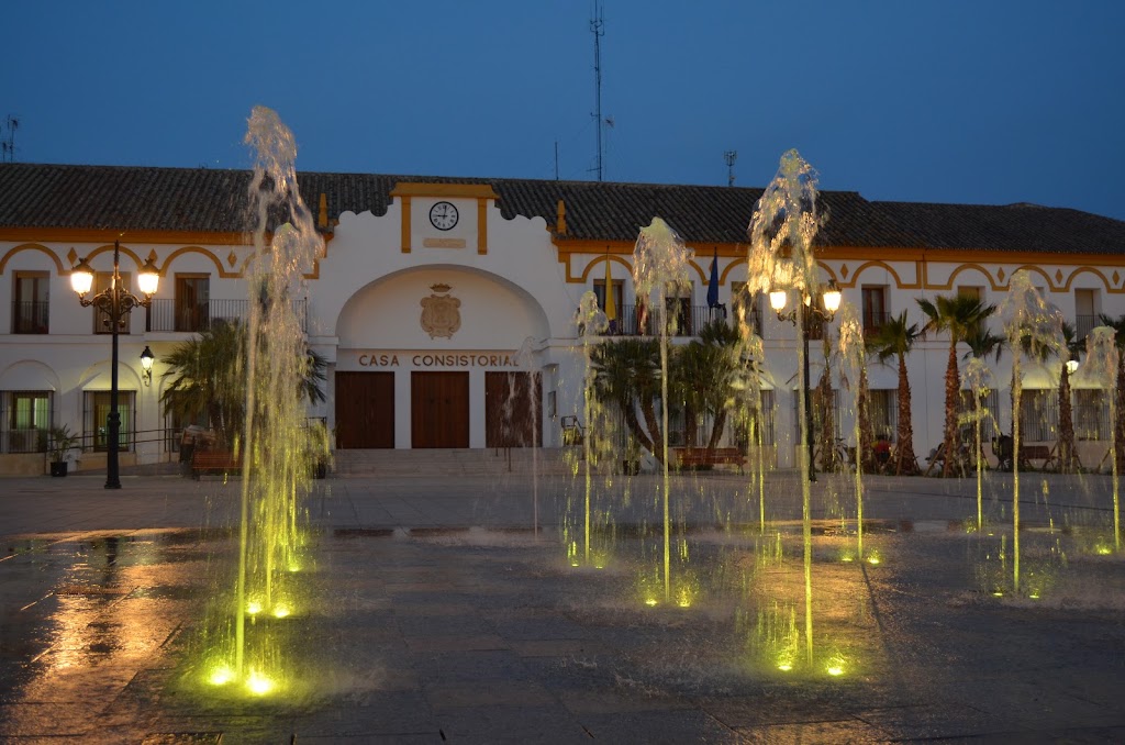 Ayuntamiento de Palma del Rio — Del propietario