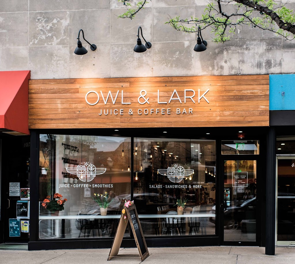 Photo of Owl and Lark
