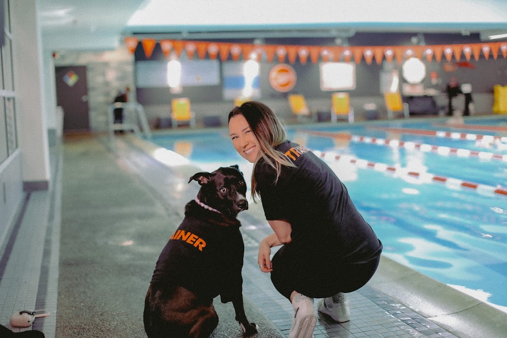  FITNESS SF - Fillmore