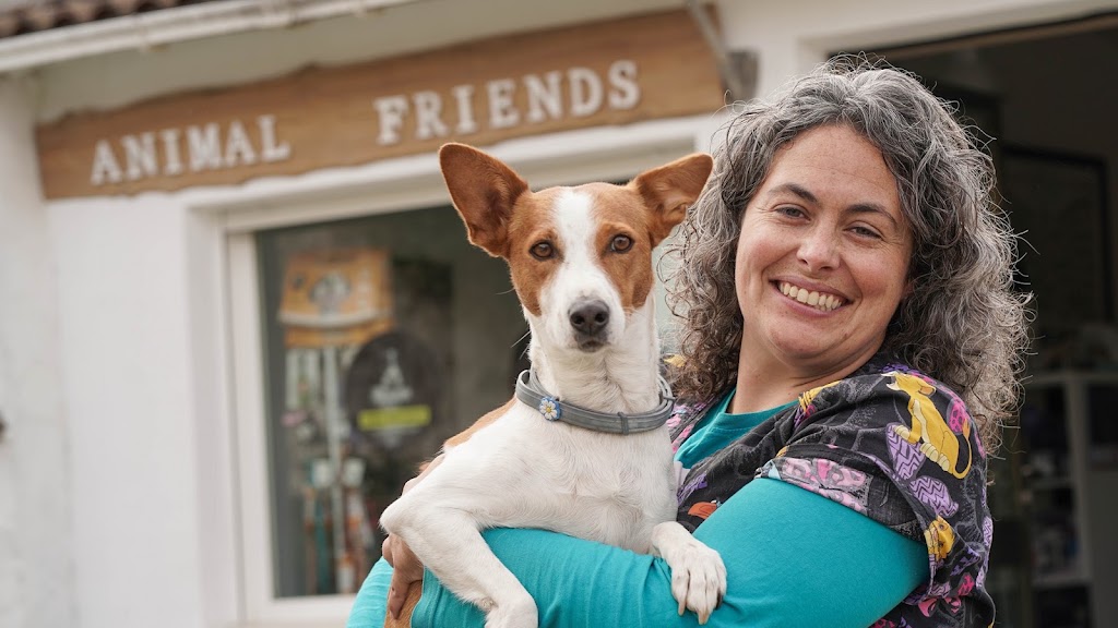 Animal Friends clinica veterinaria — Perro