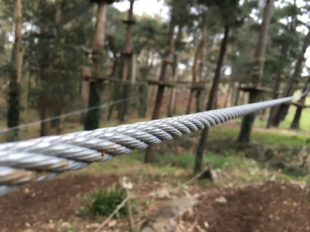 TirolinasGo Santander Forestal Park
