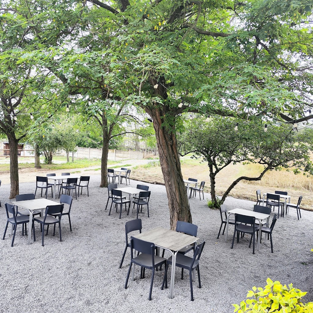 Restaurant Cal Batlle Manlleu