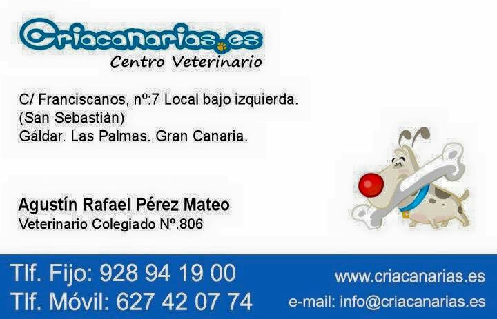 Centro Veterinario Criacanarias — Del propietario