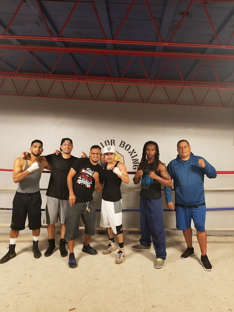  Warrior Boxing Club